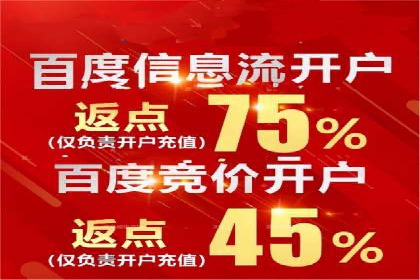百度竞价推广运营策略解析与实战案例